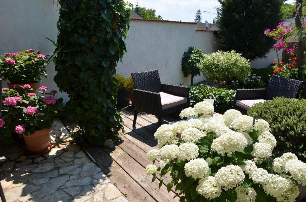 Gaestezimmer Klinger-Tongisch Apetlon Zewnętrze zdjęcie