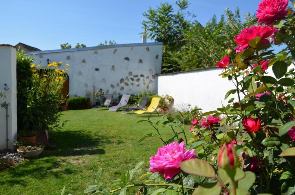 Gaestezimmer Klinger-Tongisch Apetlon Zewnętrze zdjęcie