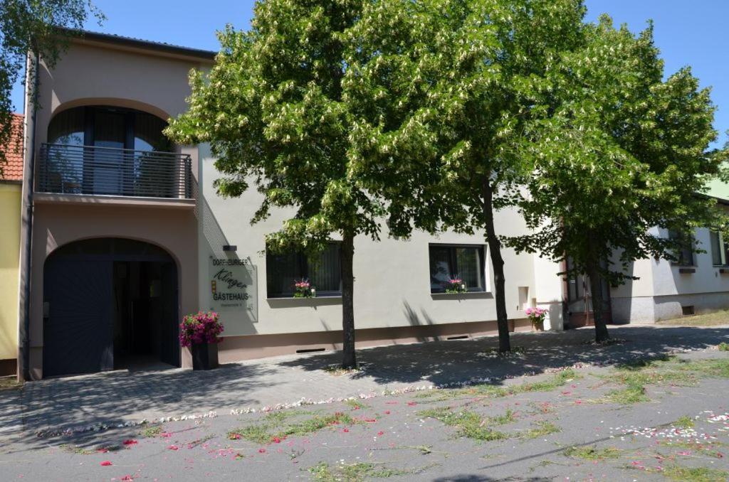 Gaestezimmer Klinger-Tongisch Apetlon Zewnętrze zdjęcie